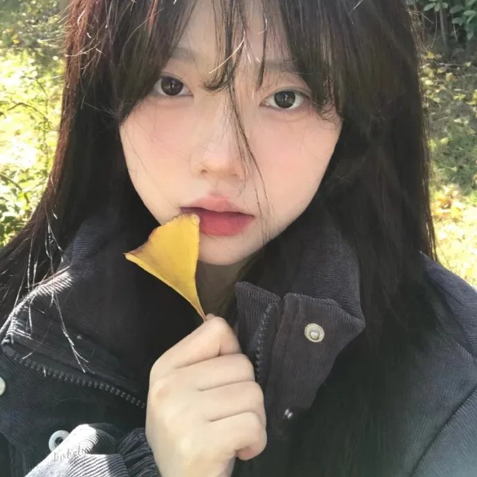 白莲花